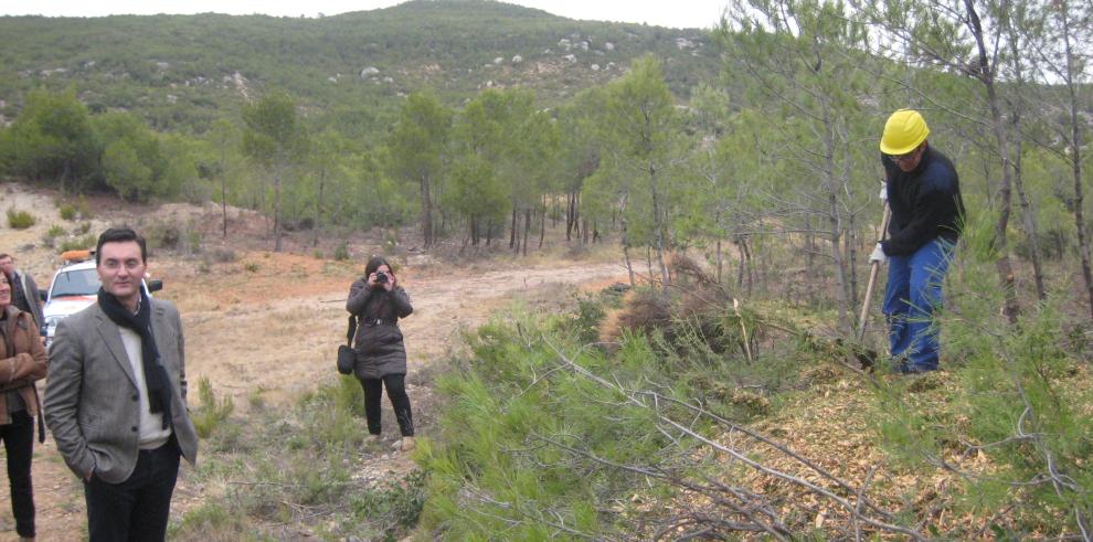 Dos cuadrillas culminan trabajos forestales y de prevención de incendios en el Bajo Aragón