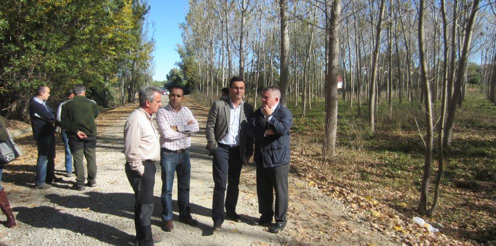 350.000 euros para preservar y rentabilizar las plantaciones de chopo en la ribera del río Cinca