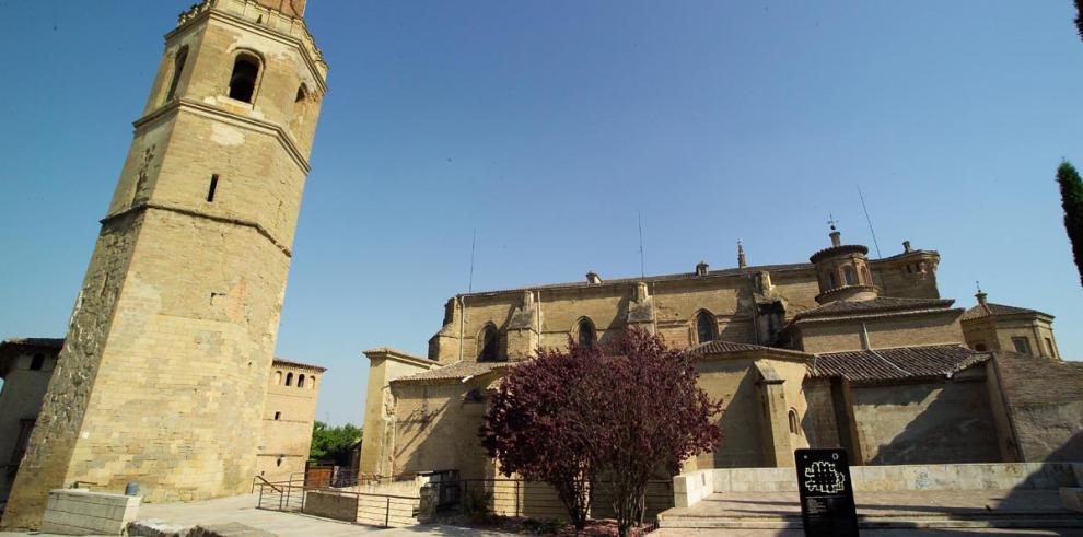 El Inaga autoriza retirar dos de los seis nidos de cigüeña de la torre de la catedral de Barbastro