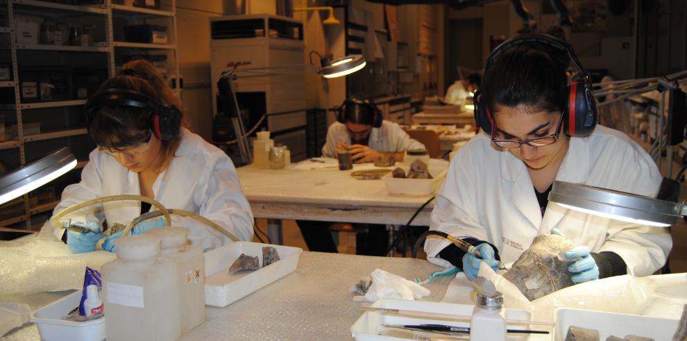 Los alumnos de la Escuela Taller de Restauración Paleontológica finalizan su formación