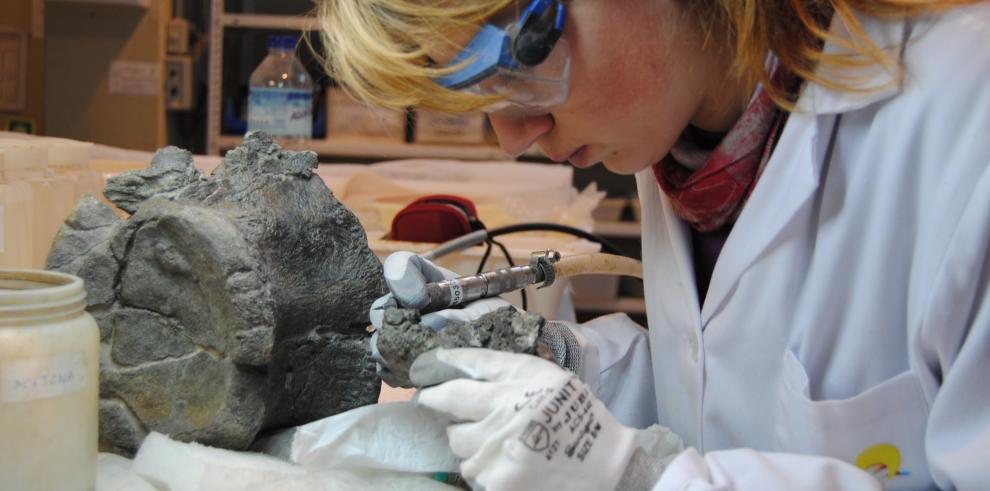 Los alumnos de la Escuela Taller de Restauración Paleontológica finalizan su formación