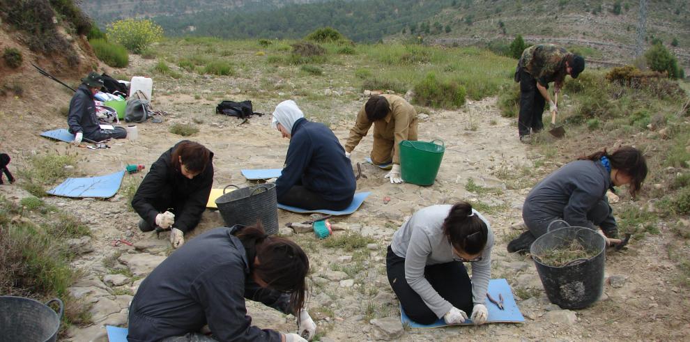 Los alumnos de la Escuela Taller de Restauración Paleontológica finalizan su formación