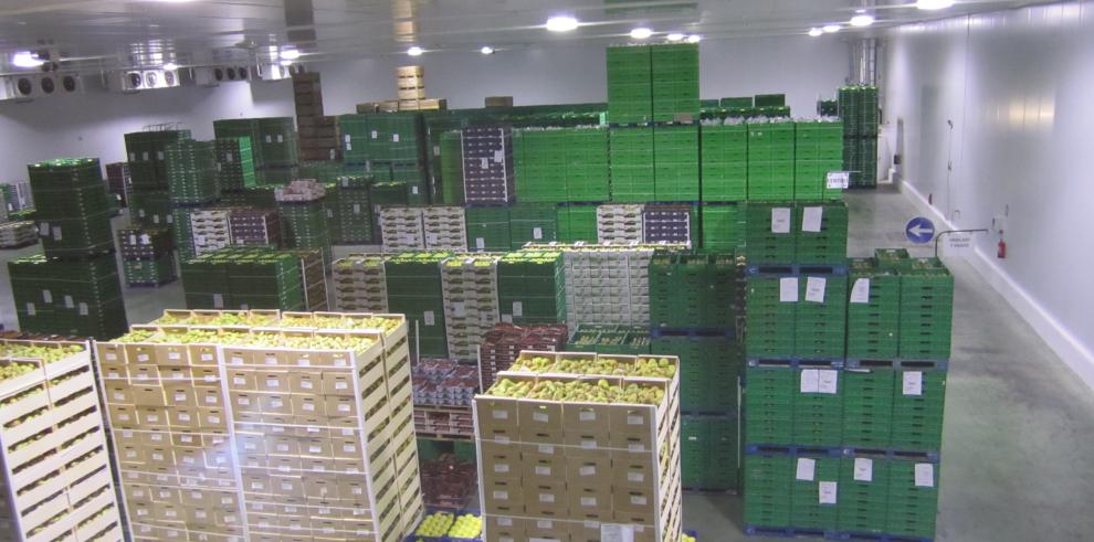 Modesto Lobón ha comprobado el alto nivel de las instalaciones de Frutas Lázaro en Calatayud