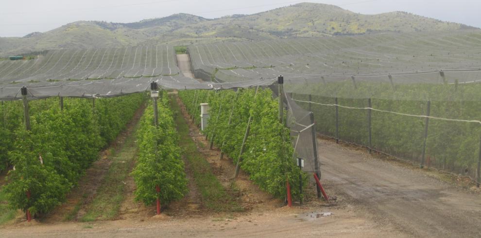 Modesto Lobón ha comprobado el alto nivel de las instalaciones de Frutas Lázaro en Calatayud