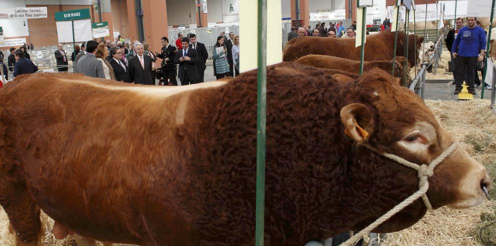 Rudi muestra su apoyo al sector ganadero en la inauguración de Fima-Ganadera