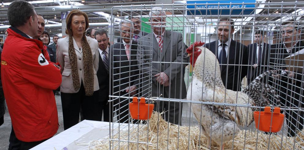 Rudi muestra su apoyo al sector ganadero en la inauguración de Fima-Ganadera