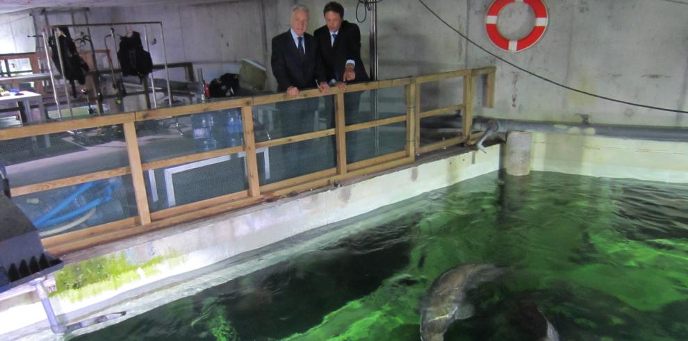 Gobierno de Aragón y Acuario de Zaragoza colaboran en la promoción y conservación del medio acuático