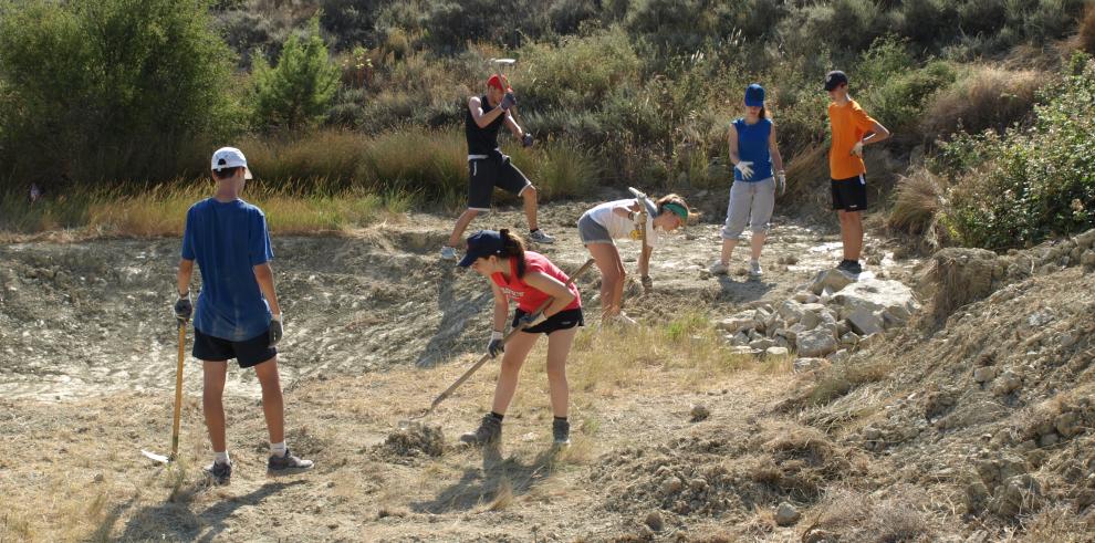 200 jóvenes  participan este verano en los campos de trabajo