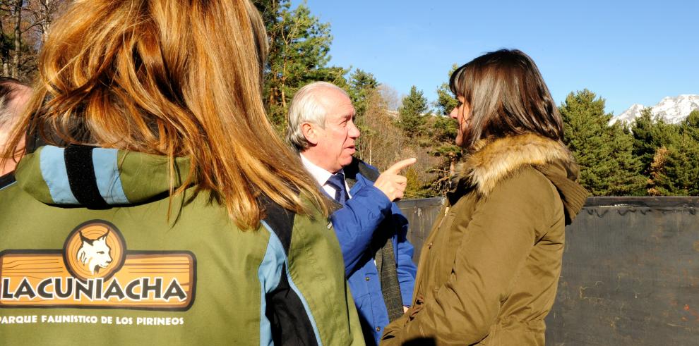 La Cuniacha cuenta con un nuevo espacio para osos pardos