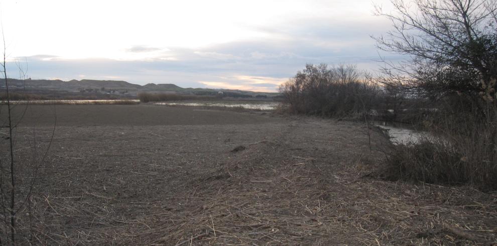 Modesto Lobón visita una de las zonas de la ribera baja afectada por la riada del Ebro 