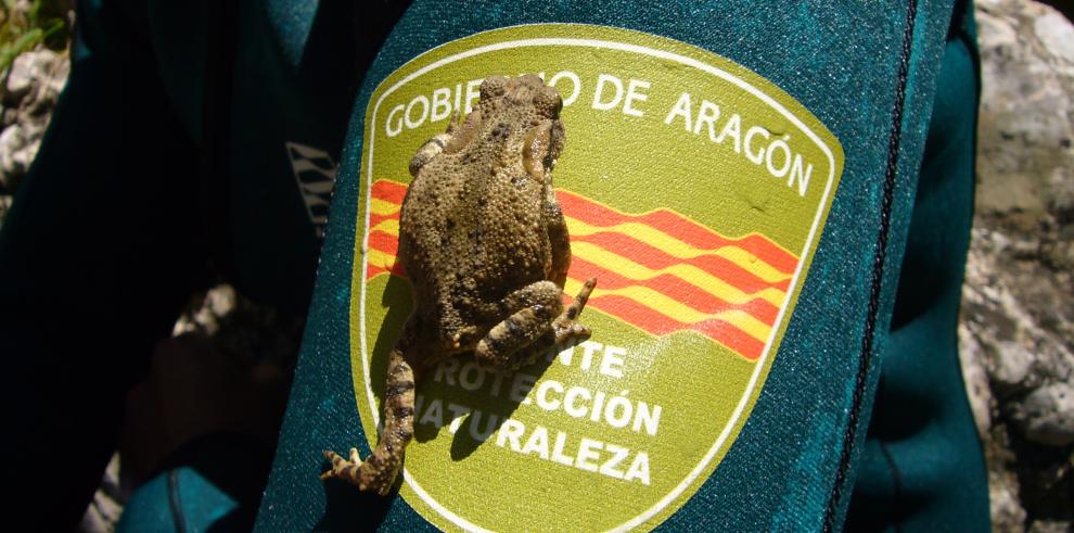 Los Agentes para la Protección de la Naturaleza: la salvaguarda de la Red Natura 2000