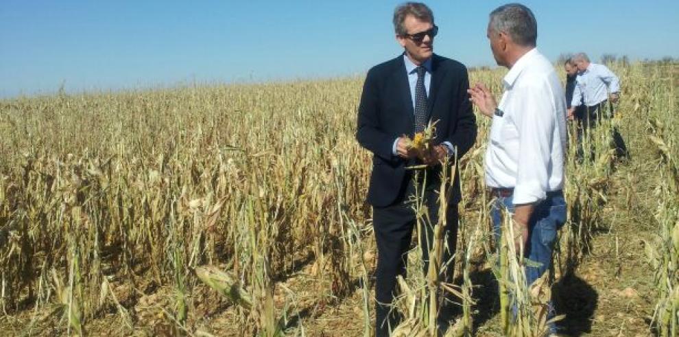 Visita a la zona de las Cinco Villas afectada por la lluvia y el granizo 