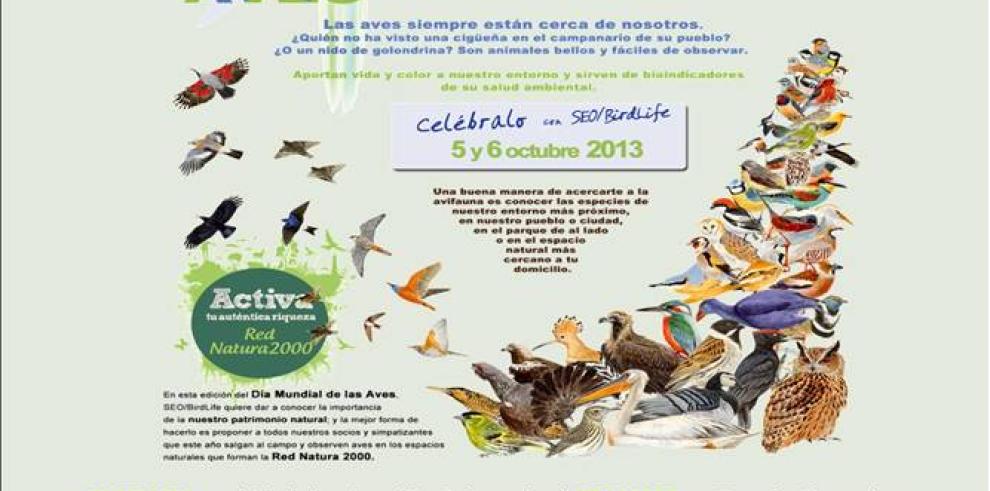 Día Mundial de las Aves, una oportunidad para descubrir la riqueza ornitológica en los Espacios Naturales Protegidos de Aragón