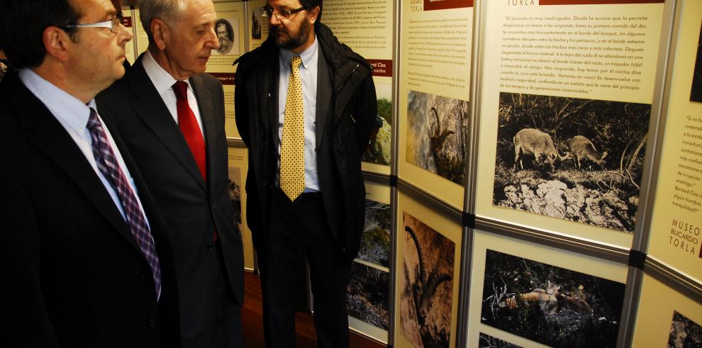  El bucardo rememora su historia en el Centro de Visitantes del Parque Nacional de Ordesa y Monte Perdido