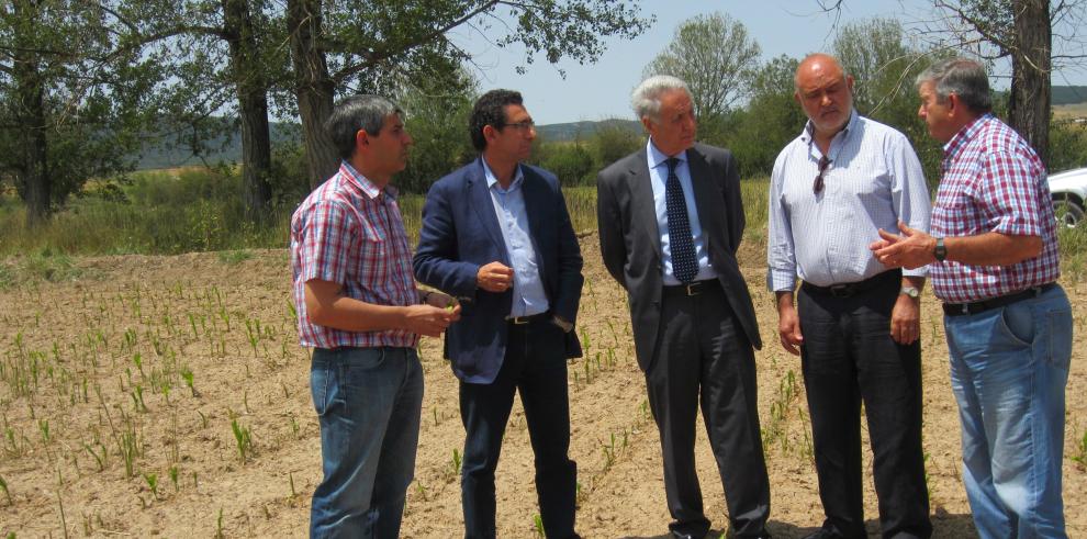 Modesto Lobón visita la zona afectada por el pedrisco en Calamocha