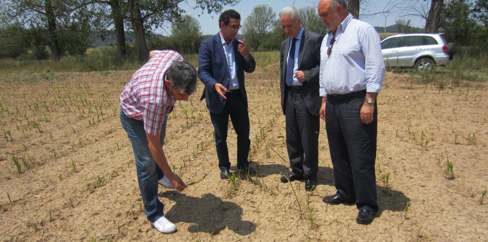 Modesto Lobón visita la zona afectada por el pedrisco en Calamocha