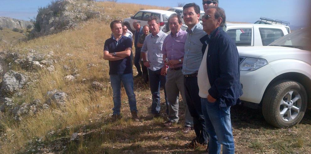 El Gobierno de Aragón continúa trabajando para recuperar la zona de Calcena tras el incendio de 2012