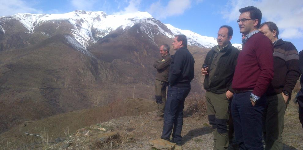 El Gobierno de Aragón continúa trabajando para recuperar la zona de Castanesa tras el efecto del fuego de 2012