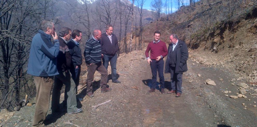 El Gobierno de Aragón continúa trabajando para recuperar la zona de Castanesa tras el efecto del fuego de 2012