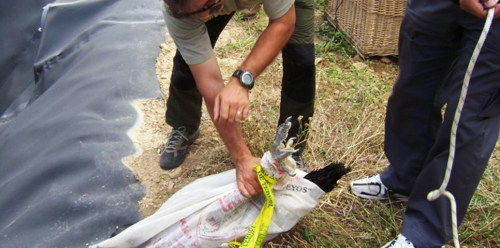 Detectada la presencia de buitres leonados en una balsa ganadera en Escucha