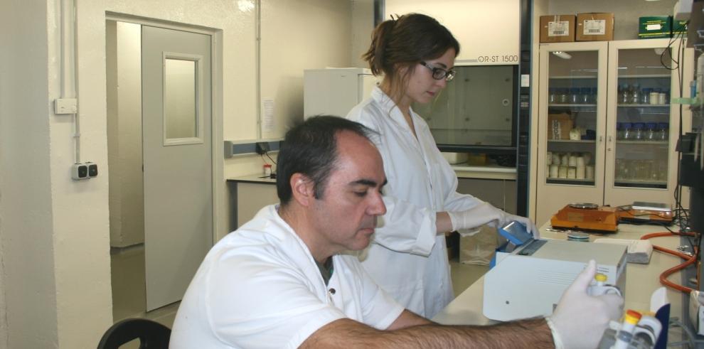 El CITA, a través de un Convenio con el Grupo TRAGSA, estudia estrategias para frenar el impacto de la RHD, “Rabbit Haemorrhagic Disease”, la enfermedad vírica que ha mermado drásticamente las poblaciones de conejo silvestre españolas