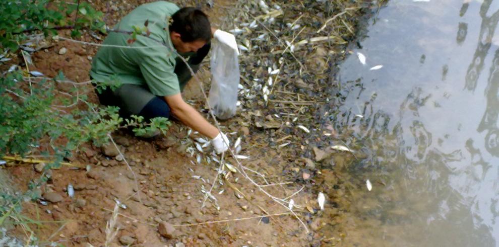 El vaciado de balsas de riego y la limpieza de cubas deben ser notificadas a  las autoridades ambientales