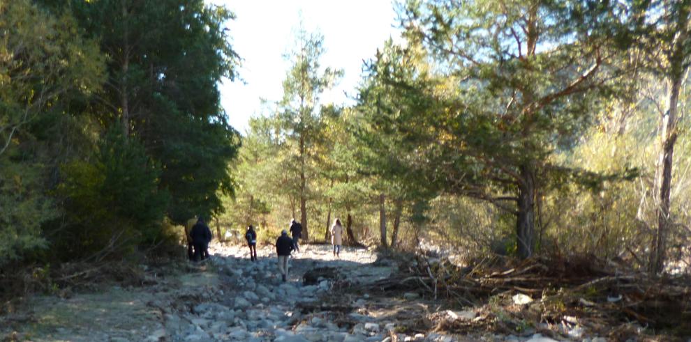 Comienzan las obras de recuperación de los tramos del Camino de Santiago afectados por el temporal de octubre 