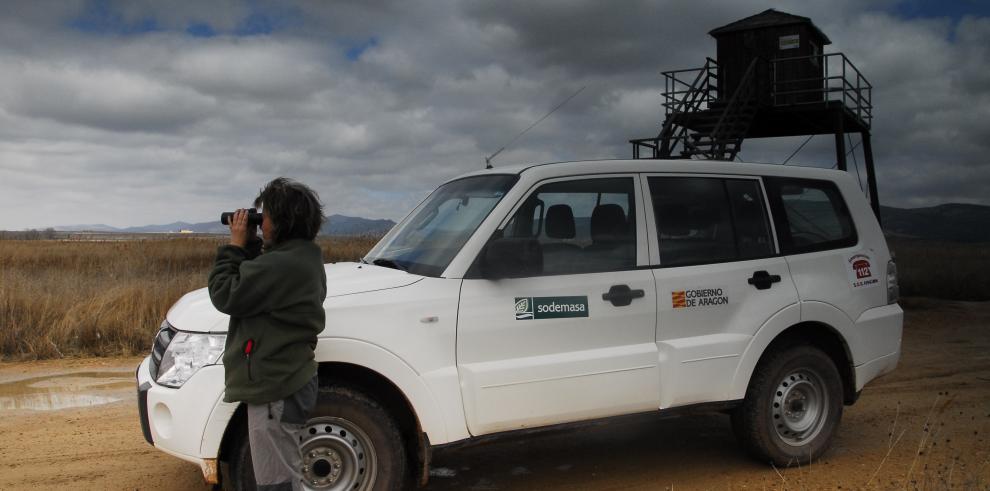 Cinco años en la conservación de la Laguna de Gallocanta