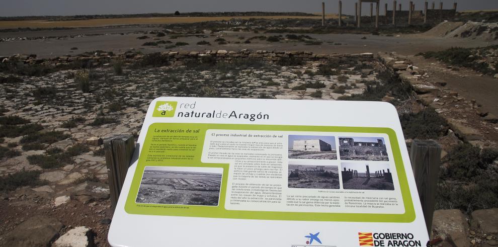 Gobierno de Aragón y Fundación La Caixa invierten en el Sitio Ramsar “Saladas de Sástago y Bujaraloz”