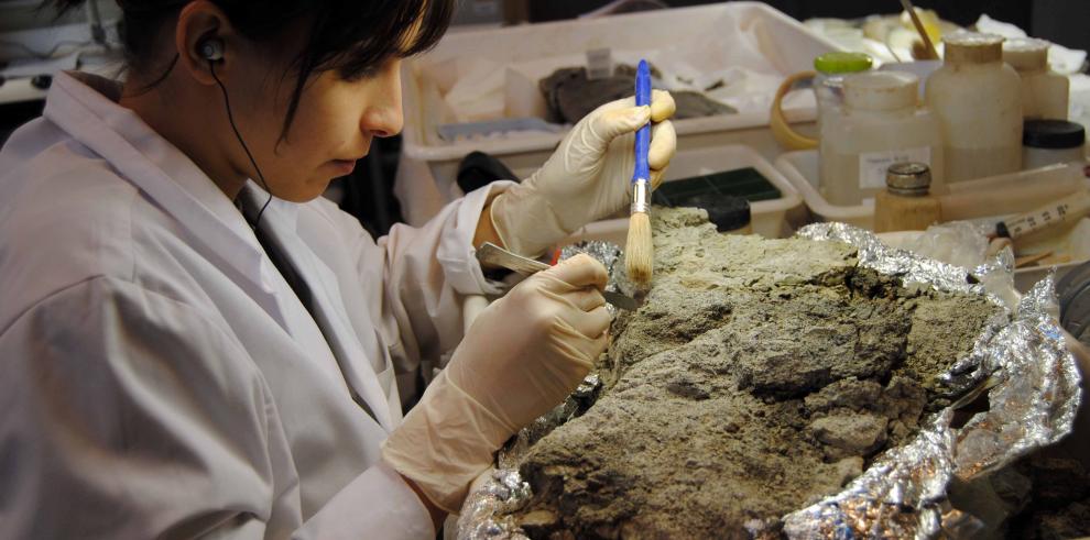 La Escuela Taller de Dinópolis restaura las vértebras de saurópodos de El Castellar