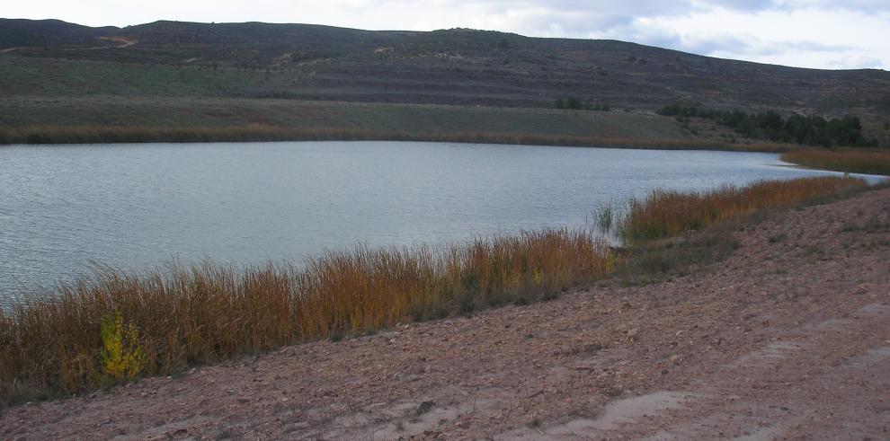 La restauración de la mina de carbón de Estercuel demuestra que la actividad minera es compatible con el respeto al medio ambiente