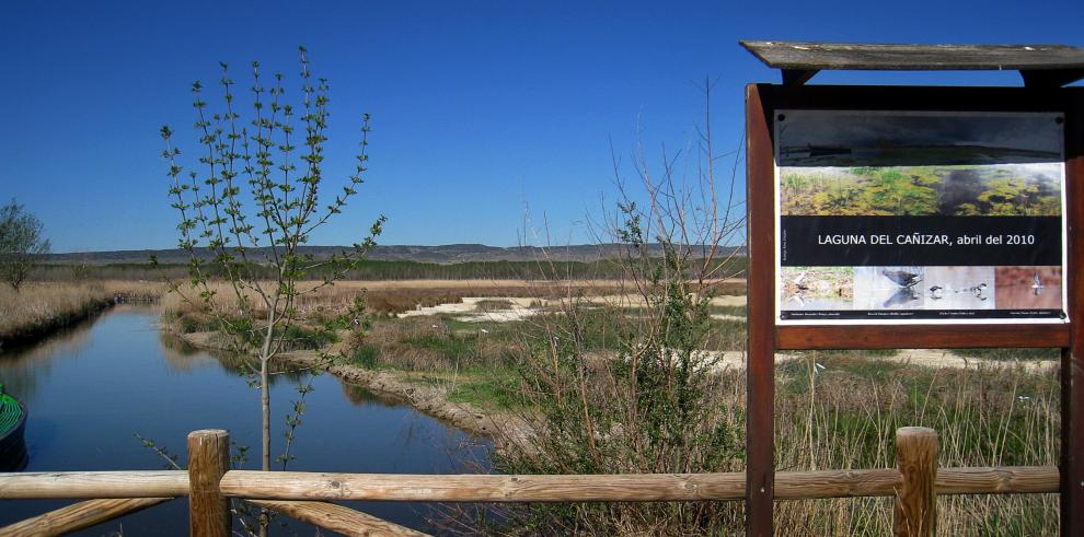 Los altos valores naturales registrados en la laguna del Cañizar aconsejan su protección