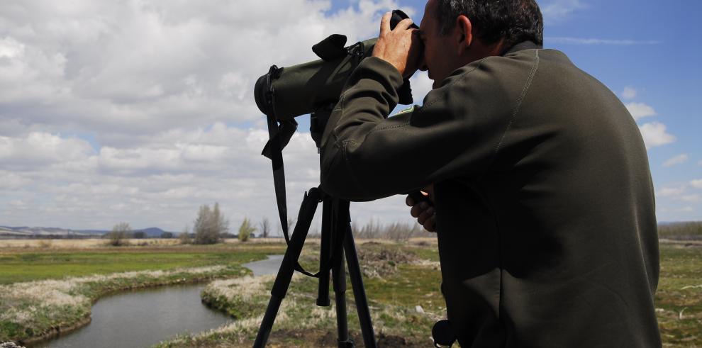 Los altos valores naturales registrados en la laguna del Cañizar aconsejan su protección