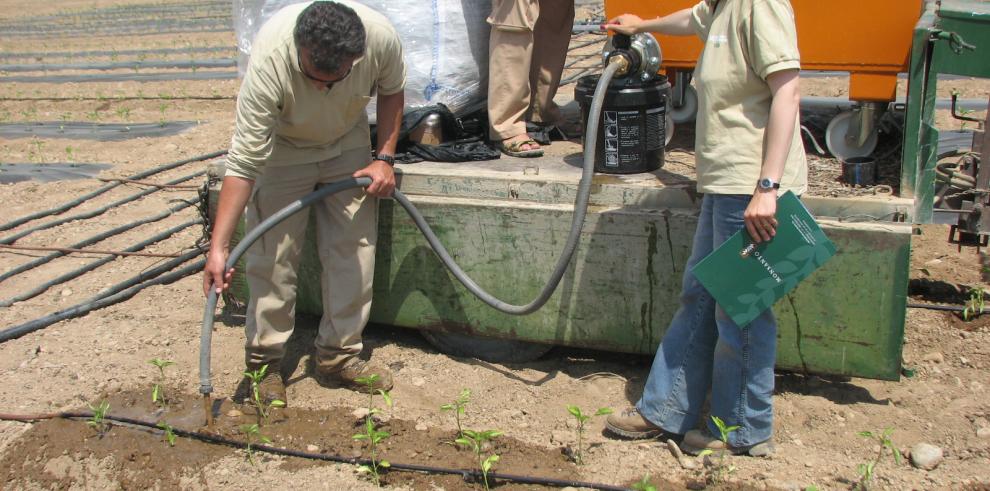 El CITA experimenta en una finca de Zaragoza el control de malas hierbas con una nueva técnica