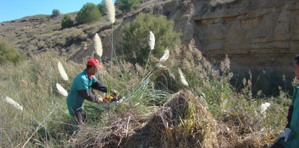 El Gobierno de Aragón forma a sus técnicos en la lucha contra las especies exóticas invasoras