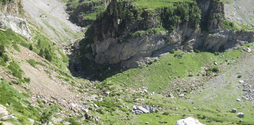 Técnicos de Medio Ambiente se trasladan a Aragües del Puerto para estudiar el incidente de las novillas