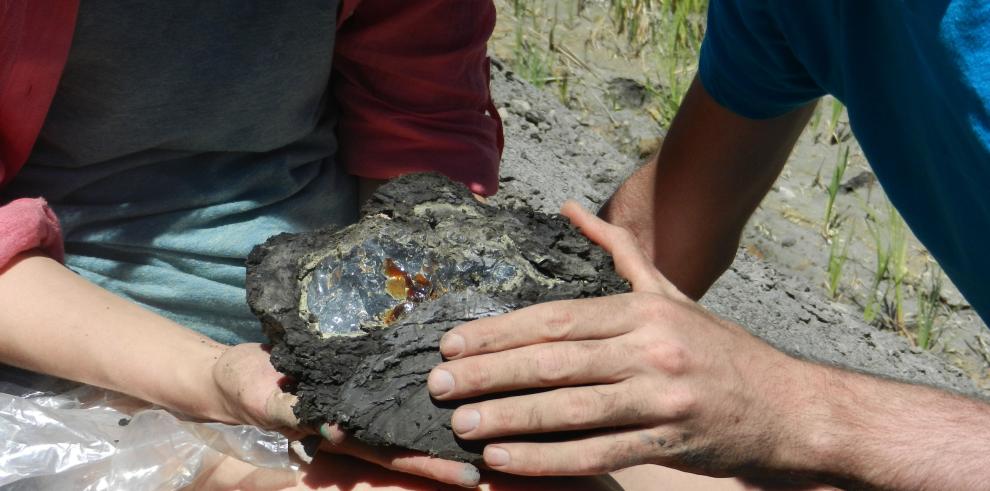 Hallan en el yacimiento de San Just una de las mayores piezas de ámbar de España