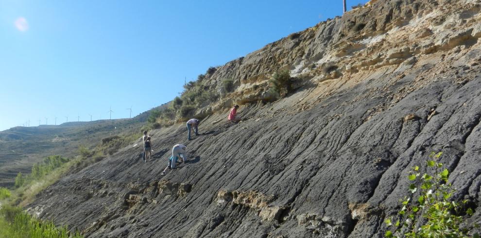 Hallan en el yacimiento de San Just una de las mayores piezas de ámbar de España