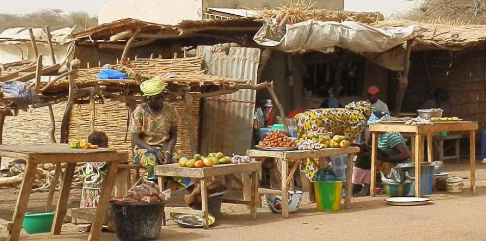 El Gobierno de Aragón destinará 60.000 euros para paliar la crisis alimentaria en el Sahel