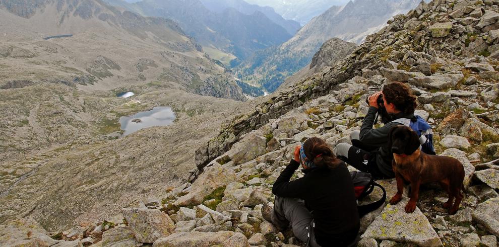 Caza al rececho del sarrio en las Reservas de Caza de Aragón