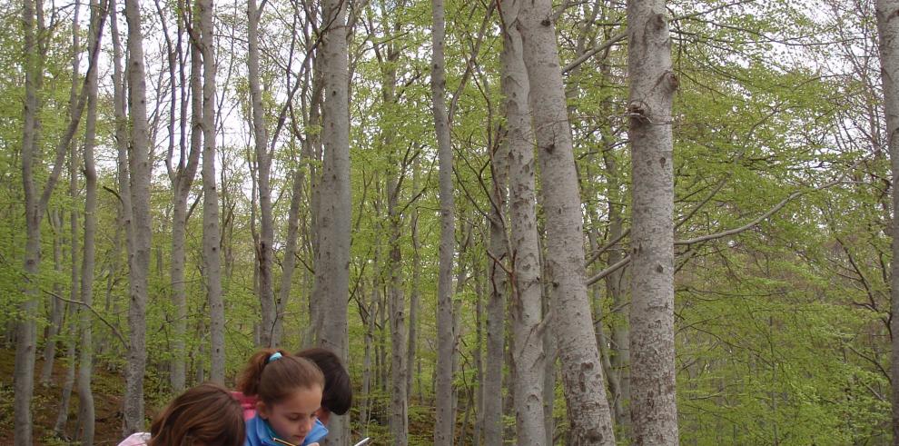 Moncayo, Guara, Los Valles y Posets-Maladeta se suman a la celebración del Día Europeo de los Parques