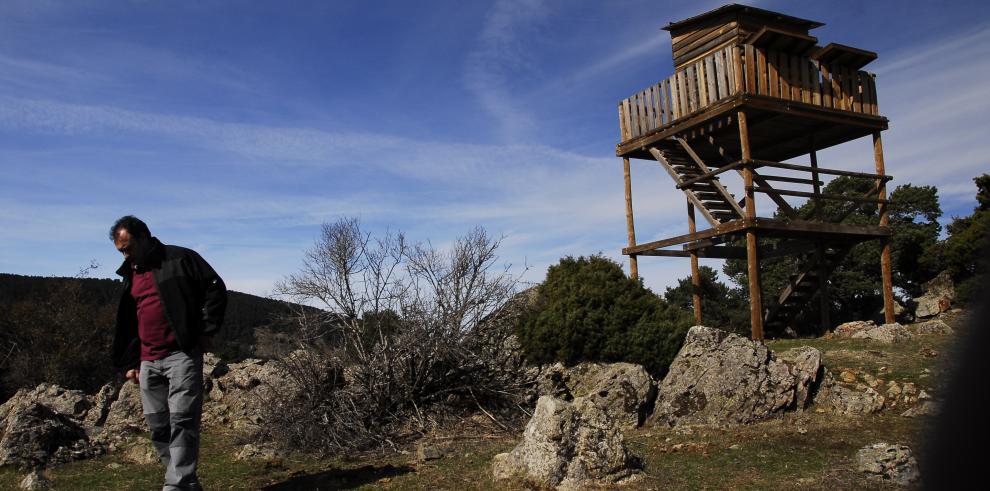 Finalizan con éxito las visitas guiadas para disfrutar de la berrea del ciervo en la Reserva de Caza de Montes Universales.