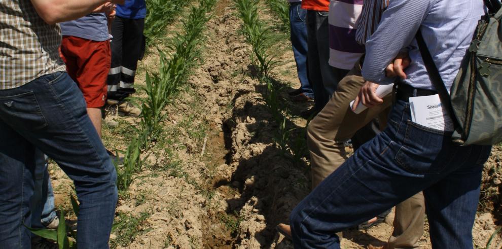 Más de un centenar de agricultores han visitado La Alfranca para conocer la viabilidad del riego por goteo en cultivos extensivos 