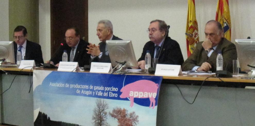 El porcino, sector clave del Plan Estratégico de la Agroindustria en Aragón, impulsado por el Departamento