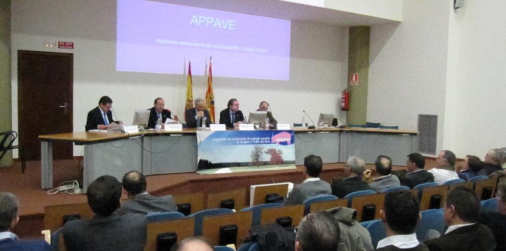 El porcino, sector clave del Plan Estratégico de la Agroindustria en Aragón, impulsado por el Departamento