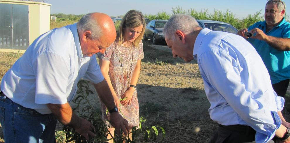 El  consejero de Agricultura, Ganadería y Medio Ambiente del Gobierno de Aragón, Modestó Lobón, visitó el Bajo Cinca para conocerlos efectos de la tormenta de pedrisco del pasado fin de semana