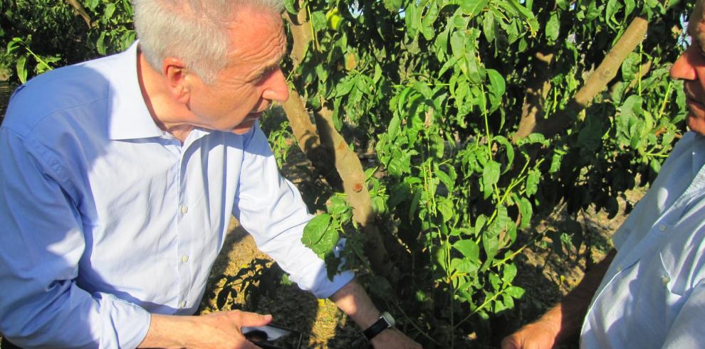 El  consejero de Agricultura, Ganadería y Medio Ambiente del Gobierno de Aragón, Modestó Lobón, visitó el Bajo Cinca para conocerlos efectos de la tormenta de pedrisco del pasado fin de semana