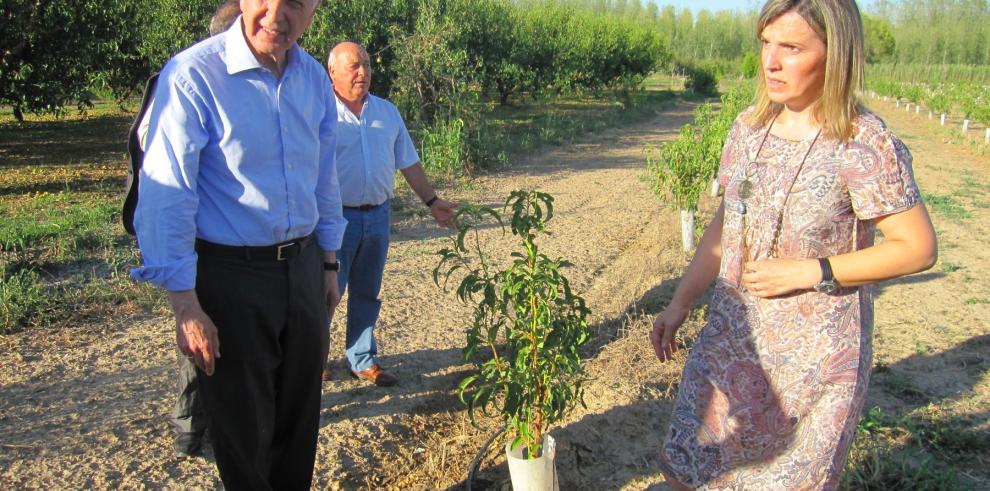 El  consejero de Agricultura, Ganadería y Medio Ambiente del Gobierno de Aragón, Modestó Lobón, visitó el Bajo Cinca para conocerlos efectos de la tormenta de pedrisco del pasado fin de semana