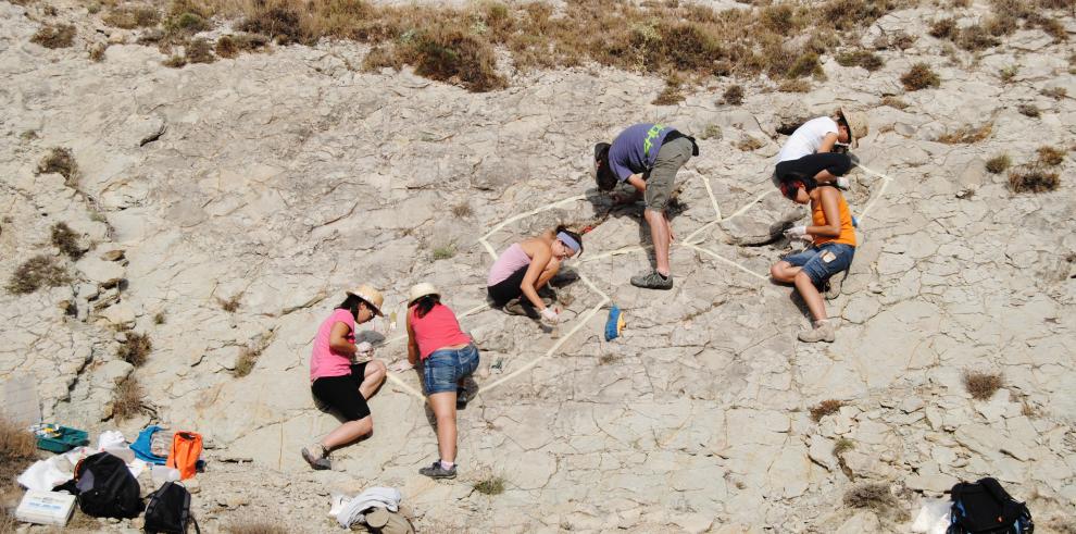 Un año recuperando patrimonio paleontológico