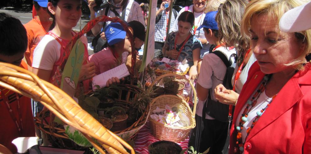 600 escolares convertidos en emprendedores ofrecen sus productos en el Mercadillo de Cooperativas Escolares